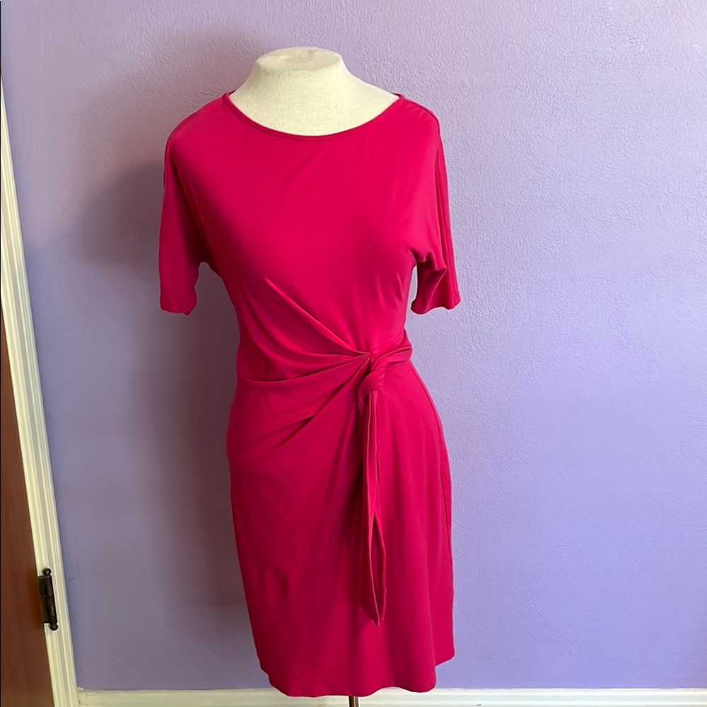 Ann Taylor Dress